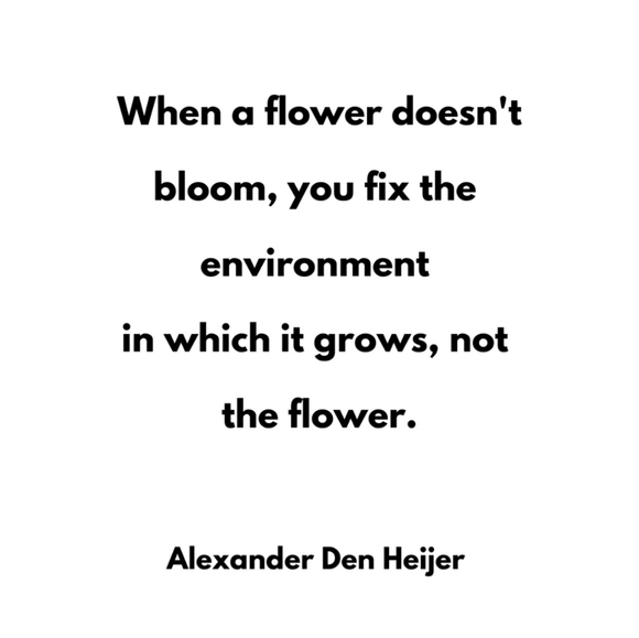 Prefered - Picture 14 of 16